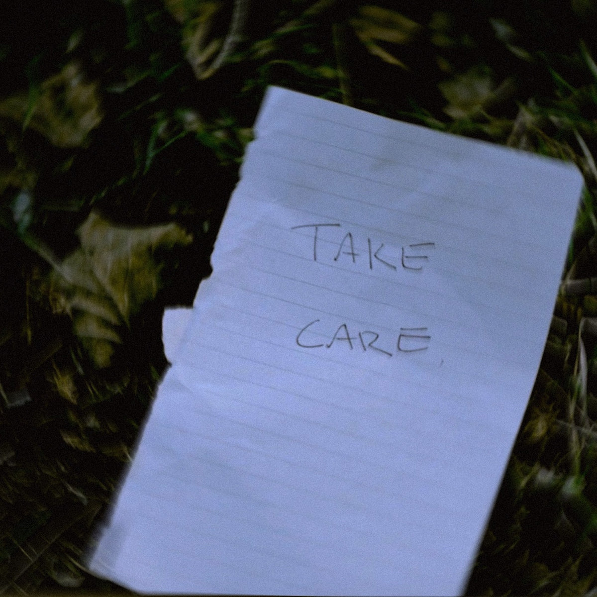 Enrose - Take Care (Acoustic Version)